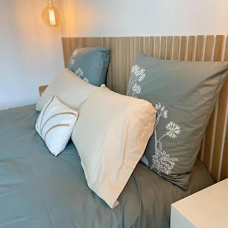 Cocon Douillet Pres De La Gare. Appartement Nancy Buitenkant foto