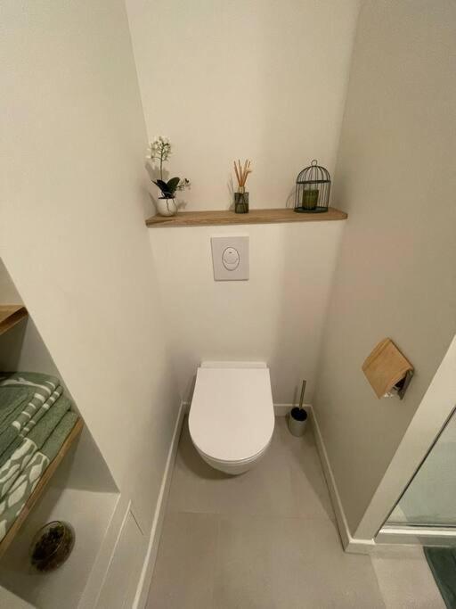 Appartement Cocon Douillet Pres De La Gare. Nancy